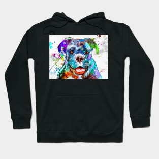 Boxer Hoodie